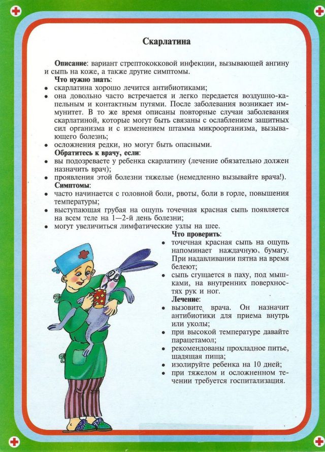 Инфографика скарлатина