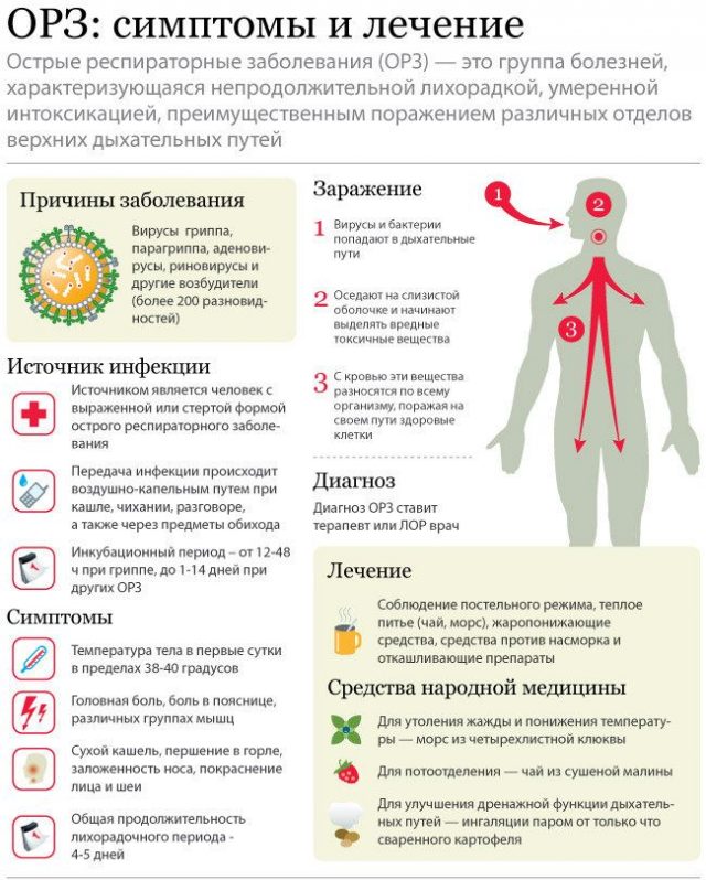 ОРЗ