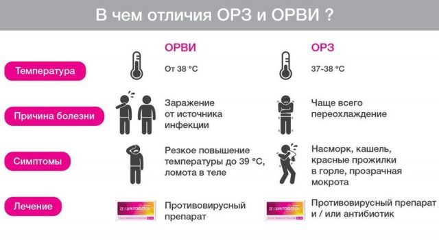 Отличие ОРЗ и ОРВИ
