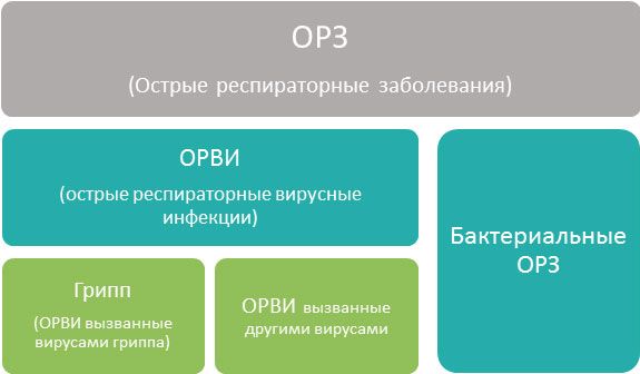 Упрощенная схема ОРЗ
