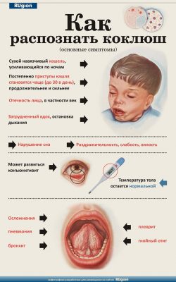 Коклюш инфографика