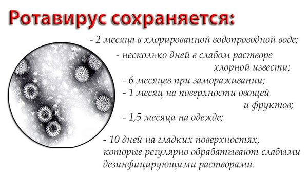 Где может быть ротавирус