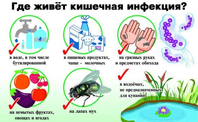 кишечная инфекция