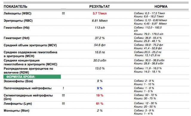 норма лейкоцитов