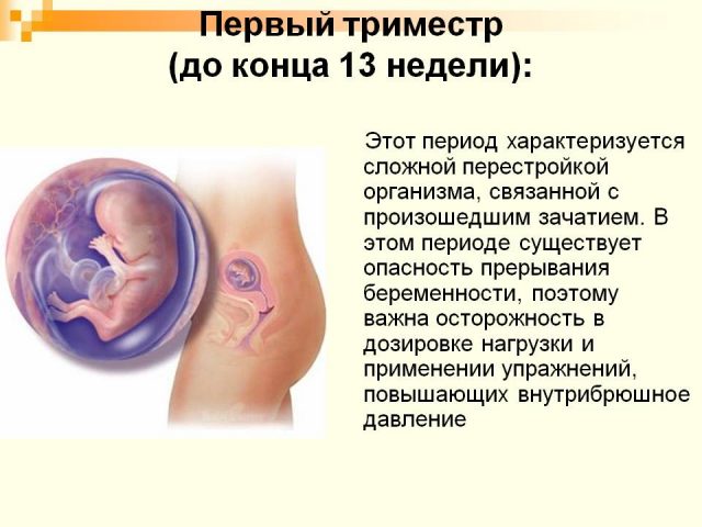 1й триместр