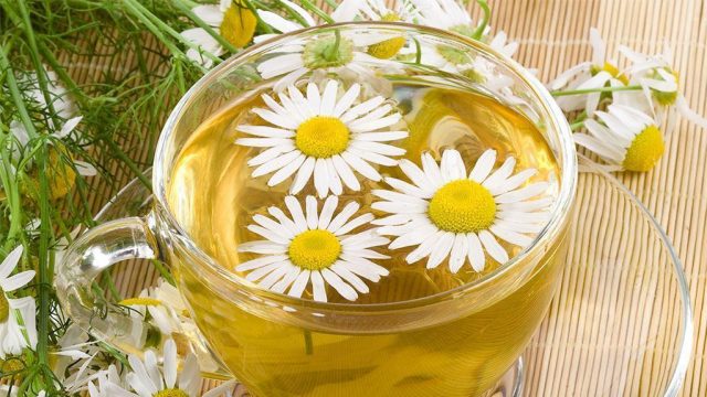 Настой из аптечной ромашки
